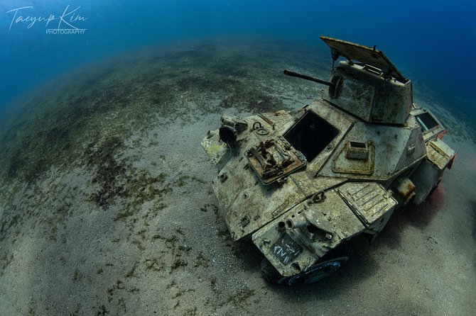 Scuba Diving for Certified Divers - Pricing in Aqaba: why $128.21 can make sense for a managed boat day