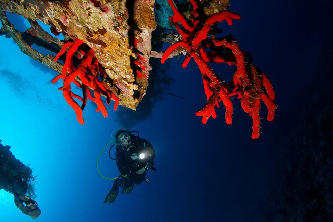Scuba Diving for Certified Divers - Who this scuba package fits best, and who might want another option