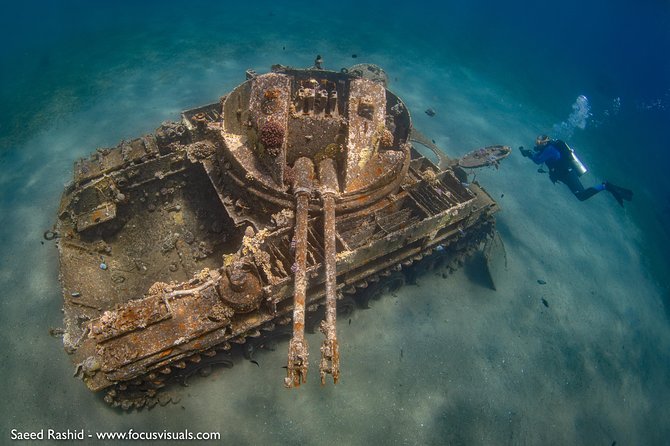 Scuba Diving for Certified Divers - Underwater sites: how the C-130 Hercules and the tank shape what you’ll notice