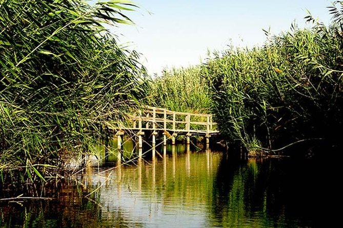 Shaumari Reserve and Azraq Wetland Private Full Day Tour from Amman - Two reserves, one long day outside Amman