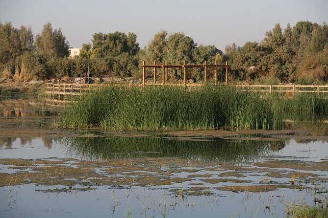Shaumari Reserve and Azraq Wetland Private Full Day Tour from Amman - The Ancient British Hospital stop and an easy culture add-on