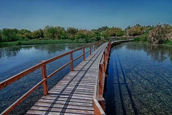Shaumari Reserve and Azraq Wetland Private Full Day Tour from Amman - The Shaumari Jeep and the water buffalo plus bird watching route