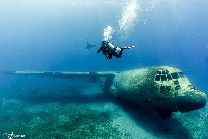 Shore Certified Diving - Two Dives - Gear is included: what you should check before you head out