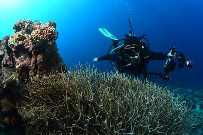 Shore Certified Diving - Two Dives - Fitness, certification, and the PADI medical checklist