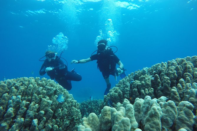 Shore Discover SCUBA Diving/Introductory Diving - One Dive - Getting to South Beach: logistics that save you time