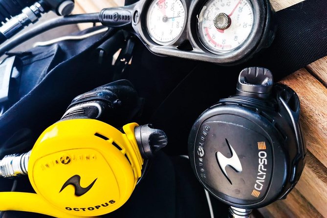 Shore Discover SCUBA Diving/Introductory Diving - One Dive - Gear included: you do not have to buy or rent a whole kit
