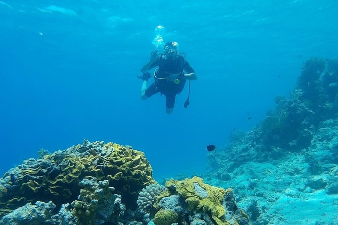 Shore Discover SCUBA Diving/Introductory Diving - One Dive - The one-to-one instruction that keeps first-timers calm