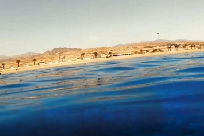 Shore Snorkeling - Two hours - Coral Gardens Off Aqaba South Beach: The Fish You Can Spot