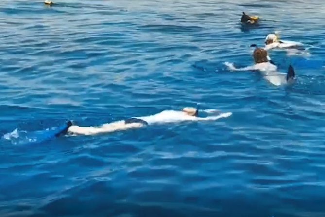 Shore Snorkeling - Two hours - Getting There and Back With Pickup From the Dive Centre