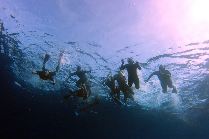 Snorkeling Activity in Aqaba with Lunch and Transportation (Boat) - Getting ready: pickup, gear, towels, and your mobile ticket
