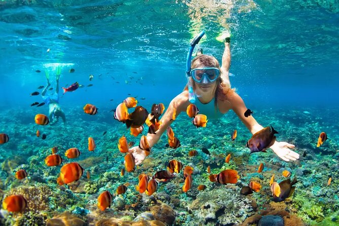 Snorkeling Activity in Aqaba with Lunch and Transportation (Boat) - Who this Aqaba boat snorkeling tour is best for