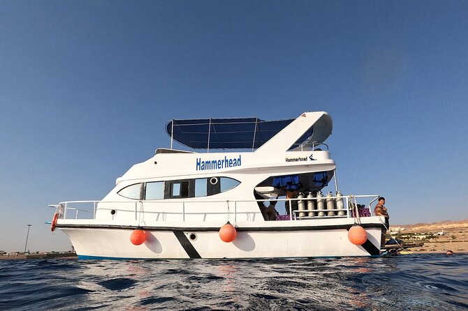 Snorkeling Activity in Aqaba with Lunch and Transportation (Boat) - Lunch on board: BBQ buffet, salads, pasta, and soft drinks