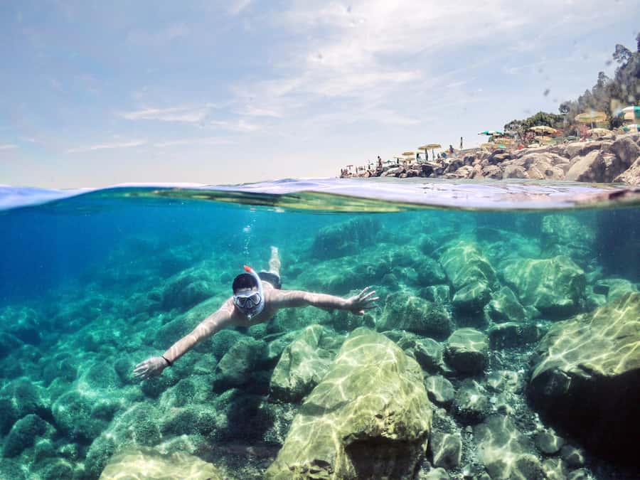Snorkeling in The Red Sea With Equipment And Free Transfer - Key things to know before you go