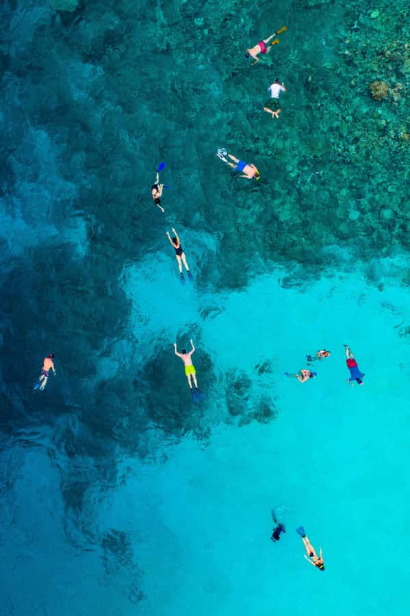 Snorkeling in The Red Sea With Equipment And Free Transfer - What to bring, what to skip, and smart comfort choices