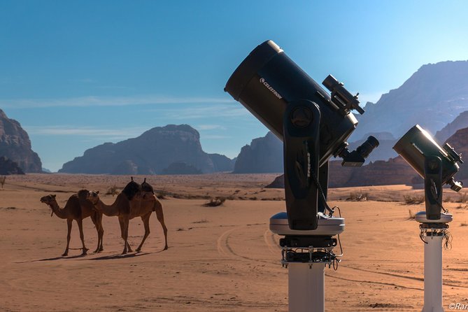 Stargazing Adventure in Jordan - Key Highlights at a Glance