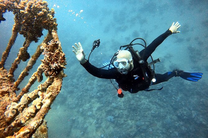 Take advantage of a half-day boat dive experience in Red sea of Aqaba. - Snorkel Time and Lunch on the Boat: Easy Second Chances