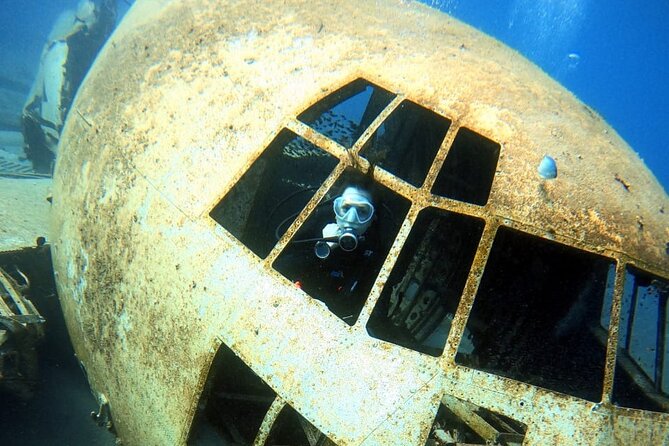 Take advantage of a half-day boat dive experience in Red sea of Aqaba. - The Small Details That Make Your Day Smoother