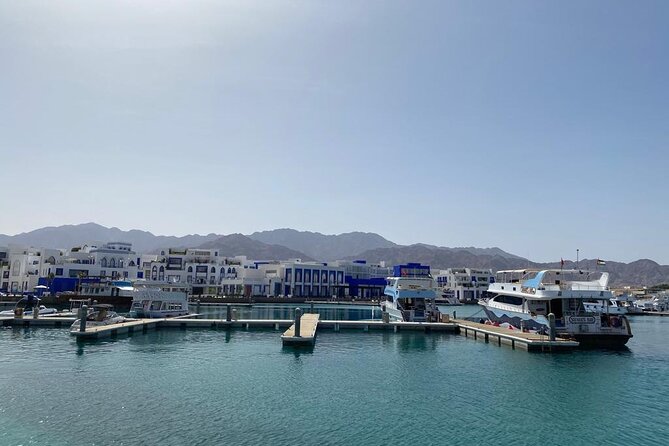 Take advantage of a half-day boat dive experience in Red sea of Aqaba. - Should You Book This One-Tank Scuba Photo Trip?