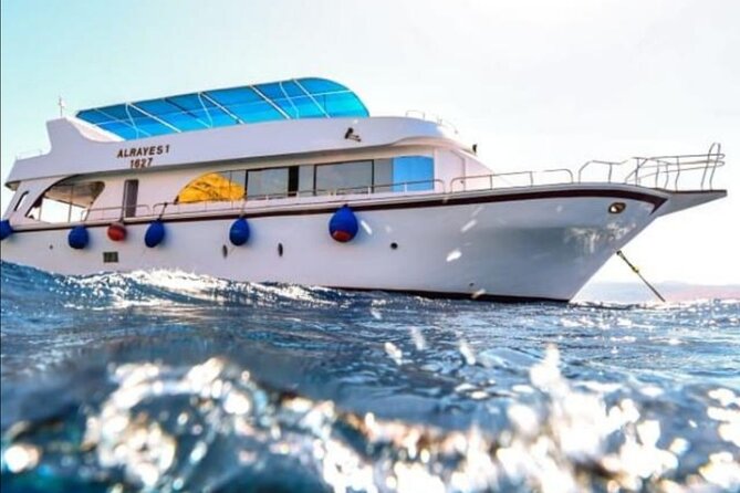 Take advantage of a half-day boat dive experience in Red sea of Aqaba. - Your One-Tank Underwater Session: How the Team Keeps It Safe and Simple