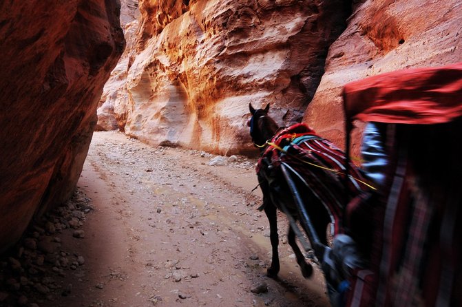 Transportations around Jordan | The Jordanian Mappers - How the route works: airport, Amman, Petra