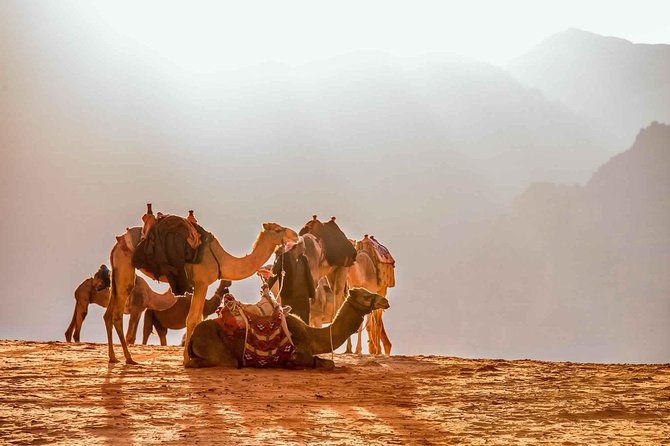 Treasures of Jordan Tour-7 Days Discover Petra & Dead Sea & Wadi Rum with Hotels - Petra: The Rose City in Your Hands, With Two Hours That Count