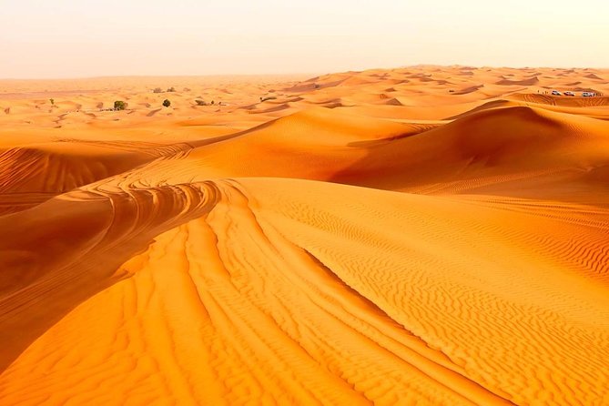 Treasures of Jordan Tour-7 Days Discover Petra & Dead Sea & Wadi Rum with Hotels - A Free Day in Amman: Where You Control the Pace