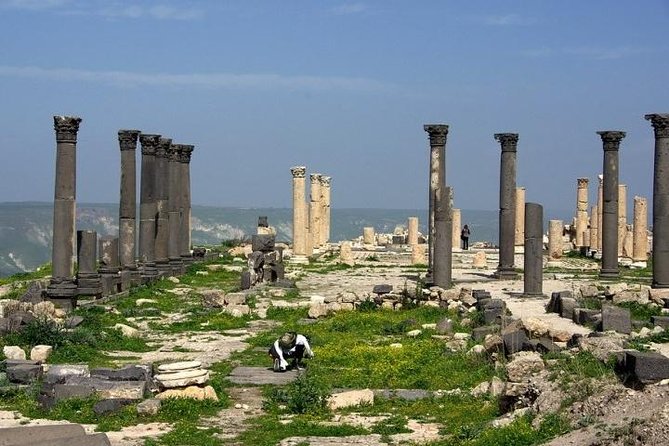 Umm Qais, Ajloun and Jerash Full-Day Tour from Amman - What the Day Actually Costs You in Time and Energy