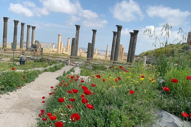 Umm Qais, Jerash & Ajloun Castle Day Tour from Amman - Why Umm Qais, Ajloun Castle, and Jerash in one day works