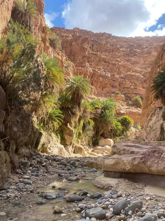 Wadi Ghuweir Full-Day Hike with Local Guide & Lunch. - Key things to know before you go