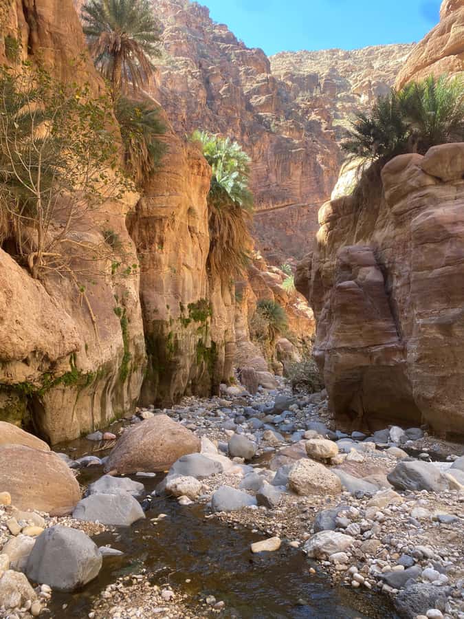 Wadi Ghuweir Full-Day Hike with Local Guide & Lunch. - Walking with a certified local guide on the Jordan Trail