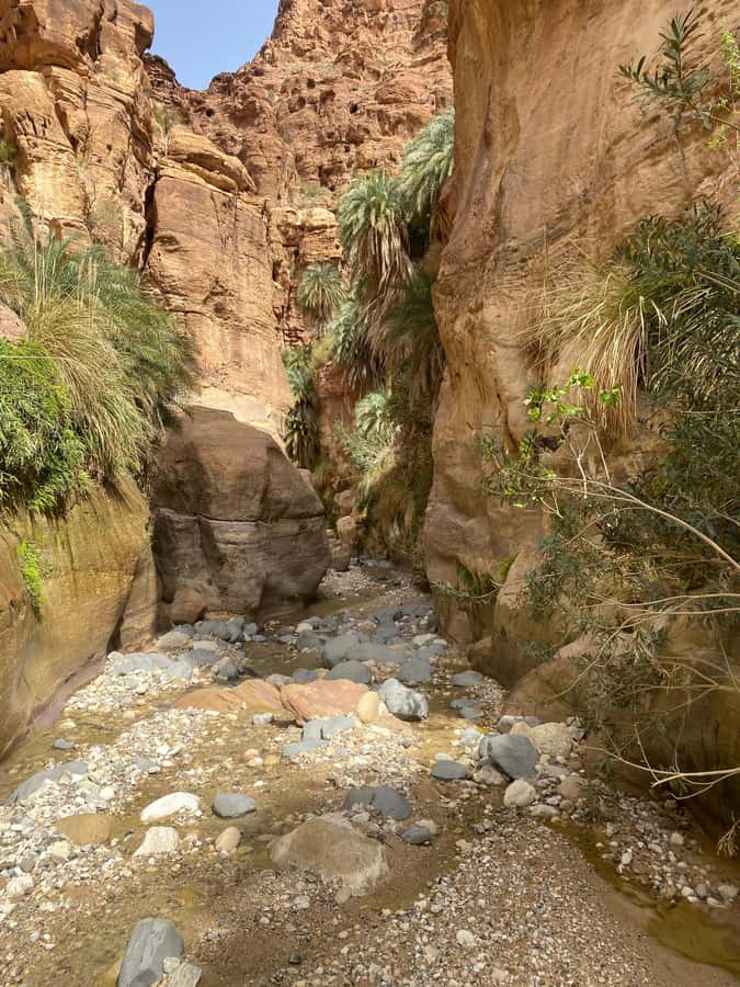 Wadi Ghuweir Full-Day Hike with Local Guide & Lunch. - Narrow passages, a hidden pool vibe, and why you should bring swim gear