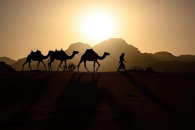 Wadi Mujeb, Dead Sea, Madaba & Mont Nebo Private Day tour - Who This Tour Fits Best (And Who Might Feel Limited)