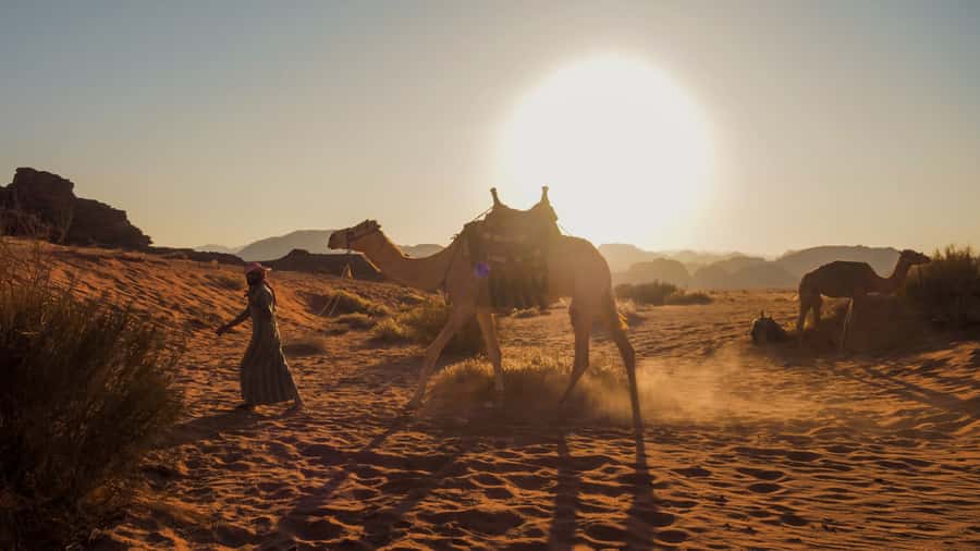 Wadi Rum: 2 Hour Camel Ride at Sunset/Sunrise Overnight - The 2-hour camel safari: small group, big light, real desert pace