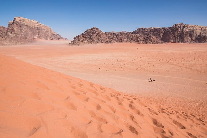Wadi Rum: 4 Hour Highlights Tour - Price and Value: Is $73 Per Person Fair?