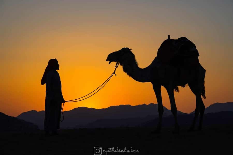 Wadi Rum: Camel Ride with tea and Bedouin Guide - Wadi Rum camelback with a jeep hop: how the ride actually works