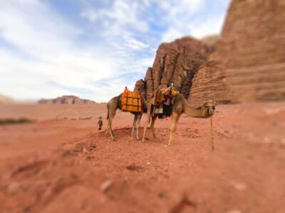 Camel Ride with tea and Bedouin Guide
