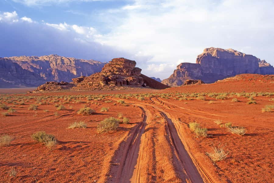 Wadi Rum: Camel Ride with tea and Bedouin Guide - Price and value: $53 plus the 5 JOD entrance fee