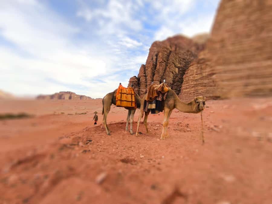Wadi Rum: Camel Ride with tea and Bedouin Guide - Mamdouh and Bedouin hospitality: what makes the guiding feel real