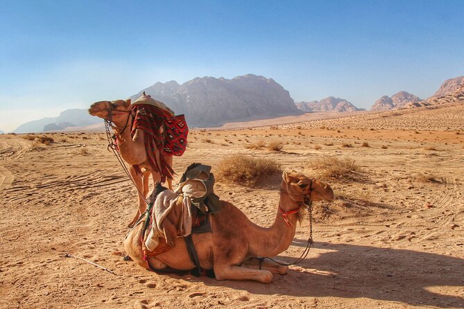 Wadi Rum: Camel Trek Adventure - Private pace and photo time, without the herd problem