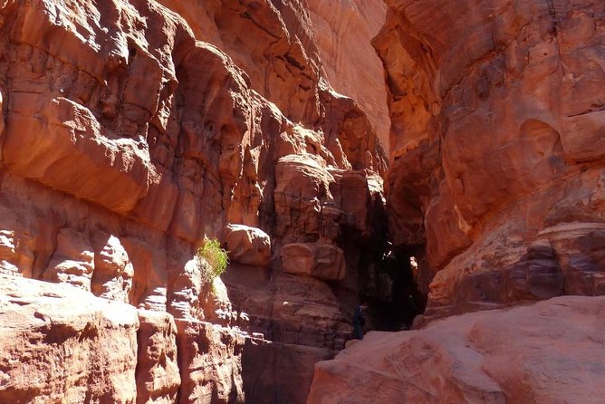 Wadi Rum: Camel Trek Adventure - What to wear and bring for a 3-4 hour camel ride