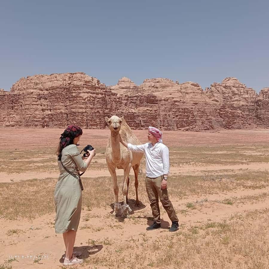 Wadi Rum Classic 4-Hour Jeep Safari - The 4-Hour Route: Dunes, Valleys, Natural Arches, and Lookout Stops