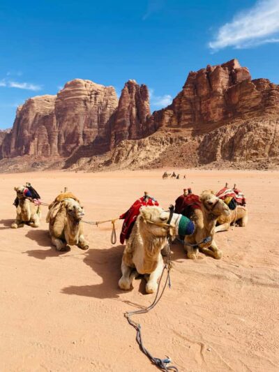 Wadi Rum Classic 4-Hour Jeep Safari