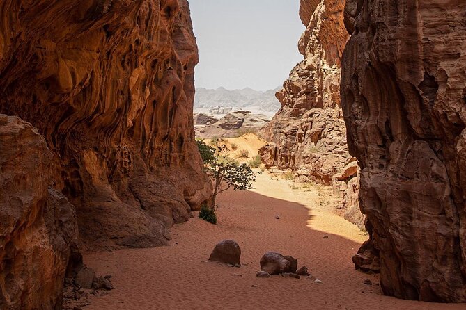 Wadi Rum Desert Tour with Lunch & Sunset - Camel ride upgrade: worth it if you want the full Wadi Rum feel
