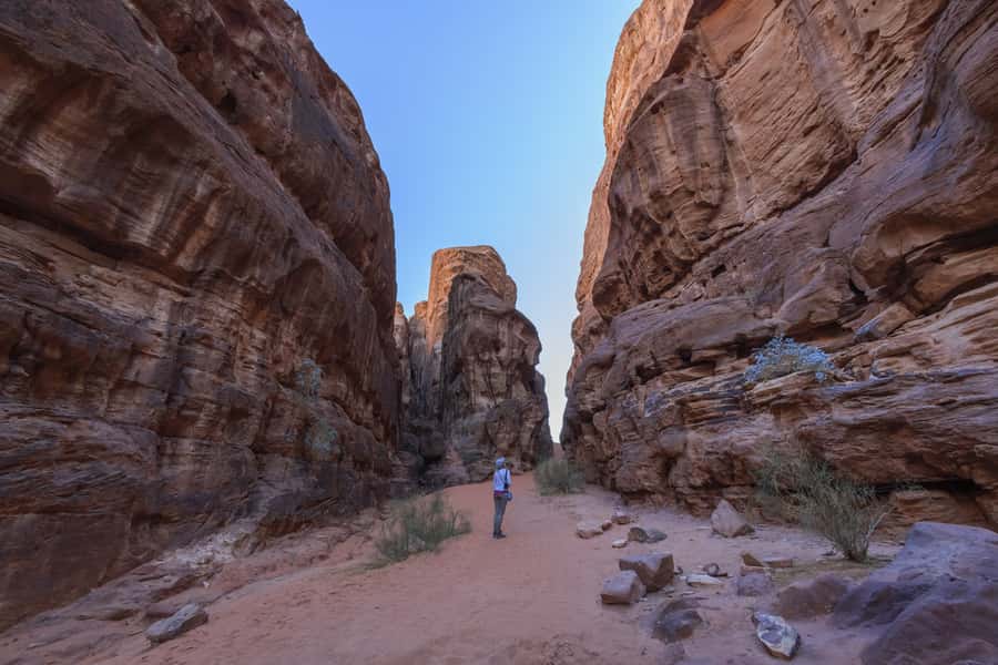 Wadi Rum: Explore 10-Hour Jeep Tour Pass, Guide, Meal & Stay - Sandboarding in the red dunes: fun included, don’t overthink it