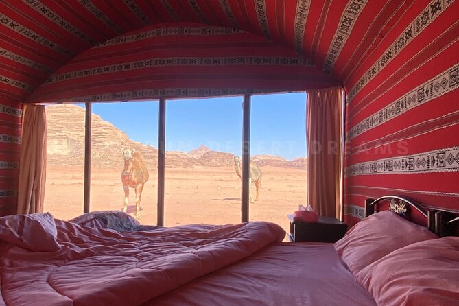 Wadi Rum Full Day Jeep Tour + Overnight & Dinner in Bedouin Camp - White Desert, Mushroom Rock, and Burdah Bridge: the day’s quieter side