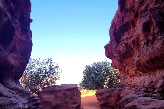 Wadi Rum Full Day Jeep Tour + Overnight & Dinner in Bedouin Camp - Sunset viewpoint: tea, a secluded spot, and timing your photos