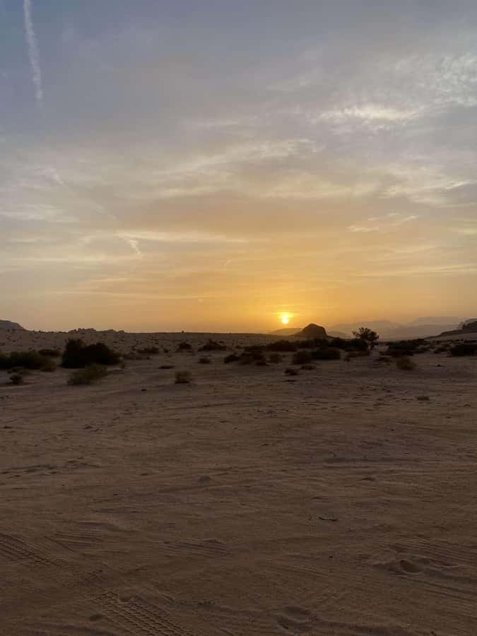 Wadi Rum:Full Day Tour Lunch Sand boarding Camel Ride Sunset - The ride into Wadi Rum: short drive, big change