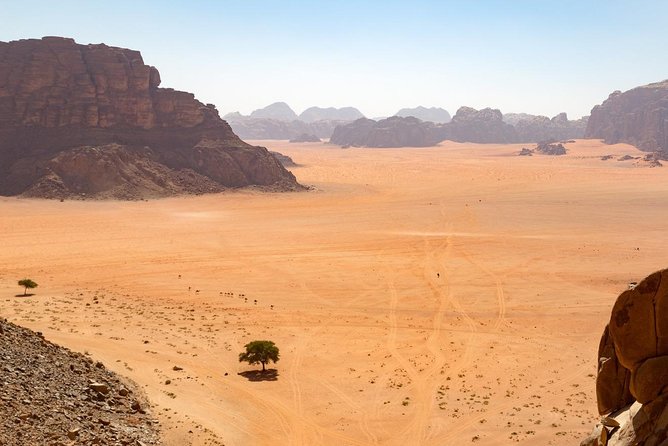 Wadi Rum: Full Day Valley Tour with Lunch - Meeting up at Wadi Rum Rest House, then staying local all day