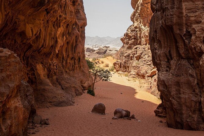 Wadi Rum Half-Day Desert Tour | Wadi Rum Desert - Red sand dune viewpoints, then on to Khazali Canyon’s narrow petroglyph corridor