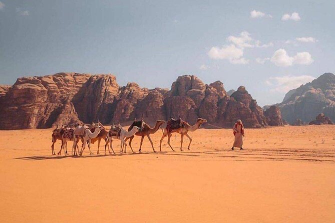 Wadi Rum Half Day From Aqaba Private Tour - Wadi Rum in half a day, from Aqaba: why it’s a smart use of time